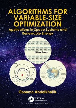 【预订】Algorithms for Variable-Size Optimization 9780367723453