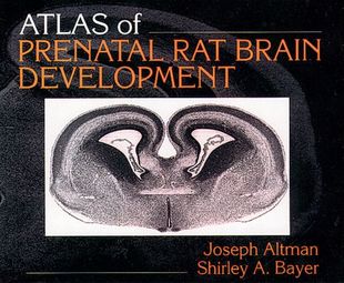 Atlas Prenatal Rat Development Brain 预售