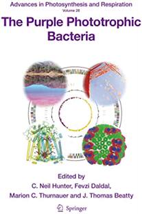 Purple 预订 The Bacteria Phototrophic