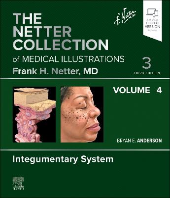 Integumentary System, Volume 4