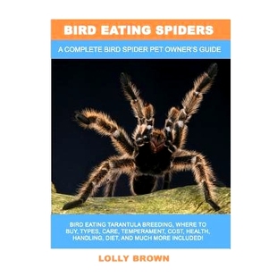 Tarantula Bird Spiders cost handling 预订 temperament breeding Eating types buy where health care