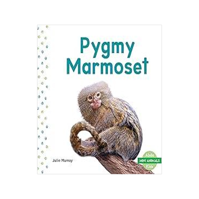 [预订]Pygmy Marmoset 9781532188831