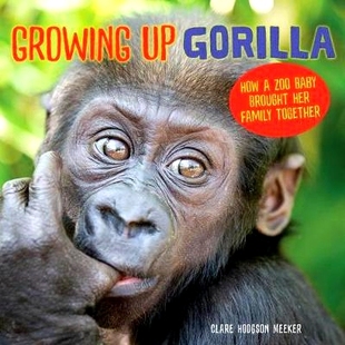 Her Together Gorilla Zoo Baby How Family 预订 Brought Growing