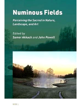 预订 Numinous Fields: Perceiving the Sacred in Nature, Landscape, and Art 夜光之野：在自然、景观和艺术中感知神圣: 978900
