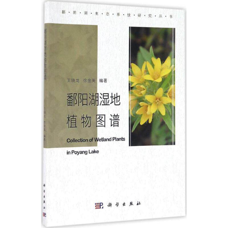 鄱阳湖湿地植物图谱  9787030510419怎么样,好用不?