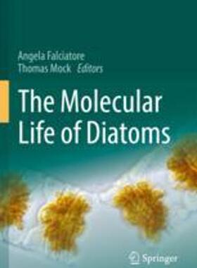 [预订]The Molecular Life of Diatoms 9783030925017