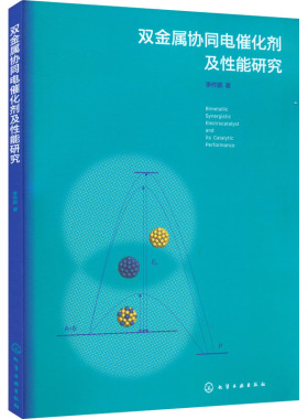 双金属协同电催化剂及性能研究  9787122397461