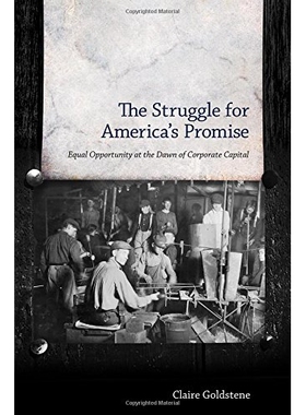 预订 The Struggle for America’s Promise: Equal Opportunity at the Dawn of Corporate Capital 为美国的承诺而努力：公司资