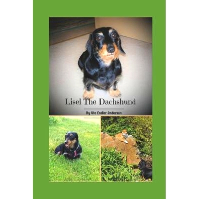 预订 Lisel The Dachshund: Life after adoption: 9781729425664