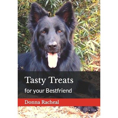 预订 Tasty Treats for your Bestfriend: 9798373696111