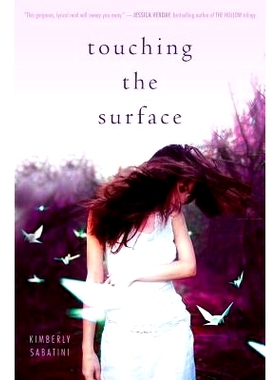 预订 Touching the Surface: 9781442440029