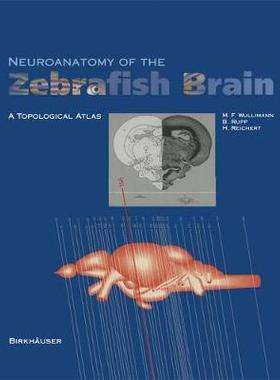 预订 Neuroanatomy of the Zebrafish Brain: A Topological Atlas