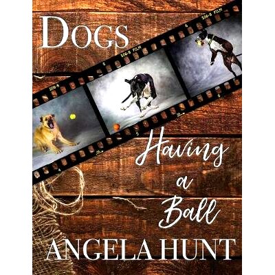 预订 Dogs Having a Ball: 9781732199040