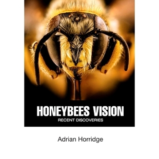 Discoveries 预订 Recent Vision 9781914934155 Honeybees