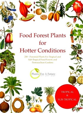 预订 Food Forest Plants for Hotter Conditions: 250+ Perennial Plants For Tropical and Sub-Tropical Food Forests and Perm
