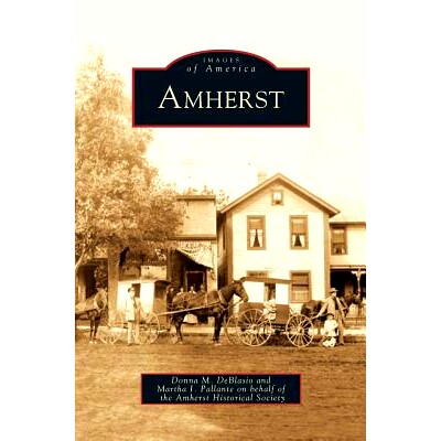 预订 Amherst: 9781531651244