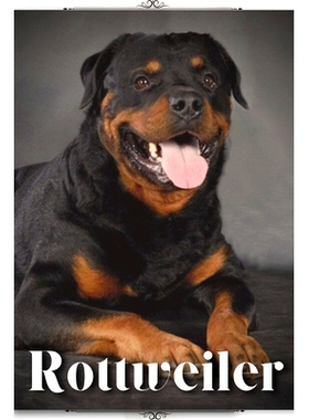 预订 Rottweiler: Dog breed overview and guide 罗威纳犬：犬种概述和指南: 9798396318625
