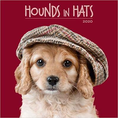 【预售】Hounds in Hats 2020 Calendar