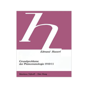 预订 Grundprobleme der Phänomenologie 1910/11