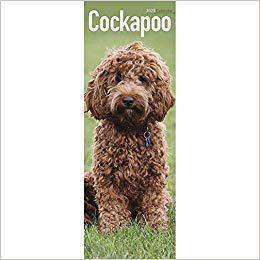 【预售】Cockapoo Slim Calendar