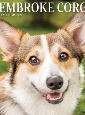 [预订]Just Pembroke Corgis 2024 12 X 12 Wall Calendar 9781549234859