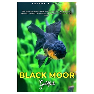 The Black Goldfish tank social 预订 health ultimate Moor breeding care guide mates behavior