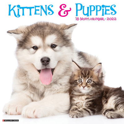 【预订】Kittens & Puppies 2022 Wall Calendar 9781549218583
