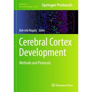 Development Cortex Methods and 9781071638125 预订 Protocols Cerebral