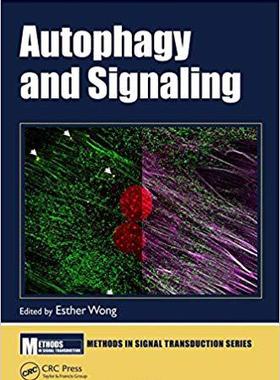 【预售】Autophagy and Signaling