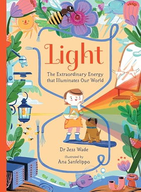 现货 光 照亮世界的非凡能量 光学物理 英文原版 STEM精装科普绘本 Light: The Extraordinary Energy That Illuminates Our World