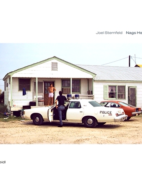 预订 Joel Sternfeld: Nags Head 乔尔·斯特恩菲尔德：纳格斯海德: 9783969993187