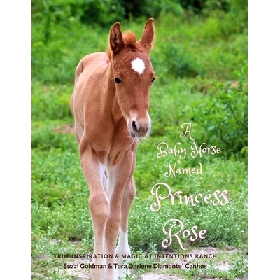 预订 A Baby Horse Named Princess Rose: True Inspiration & Magic at Intentions Ranch: 9780984029617