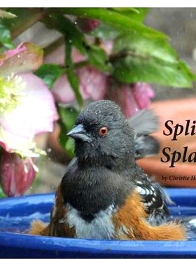 预订 Splish Splash: 9780692937426