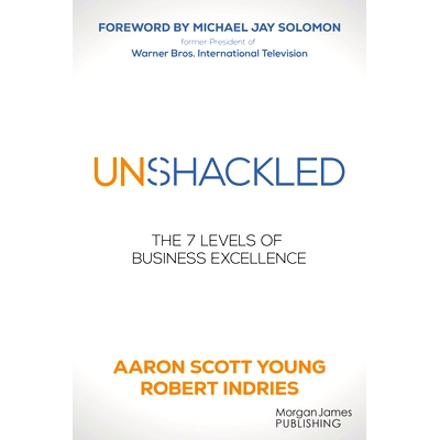 The 7 Levels of Business Excellence