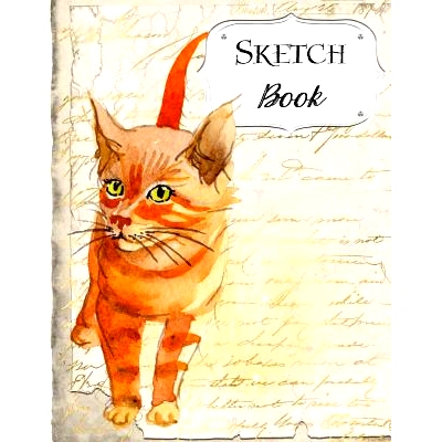 预订 Sketch Book: Cat Sketchbook Scetchpad for Drawing or Doodling Notebook Pad for Creative Artists #4 Red Tabby: 97810