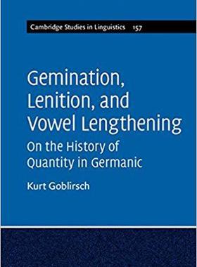 【预售】Gemination, Lenition, and Vowel Lengthening