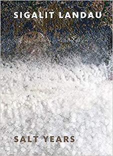 Salt Landau Sigalit Years 预售
