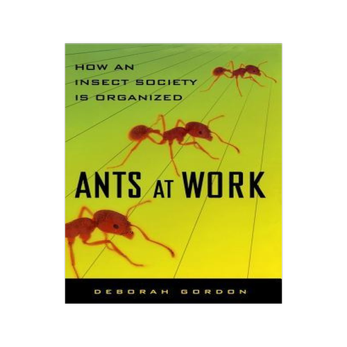 [预订]Ants at Work: How an Insect Society Is Organized 9781451665703