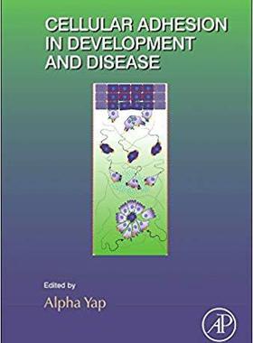 【预售】Cellular Adhesion in Development and Disease