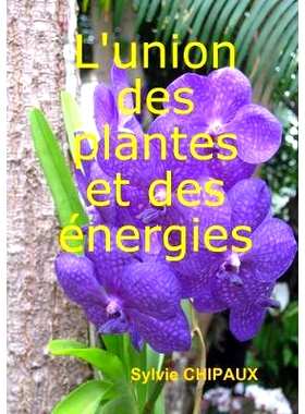 预订 L’union des plantes et des énergies 植物与能源的结合: 9780244179816