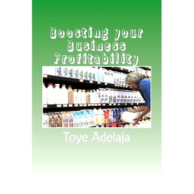 预订 Boosting Your Business Profitability: 9781514337301