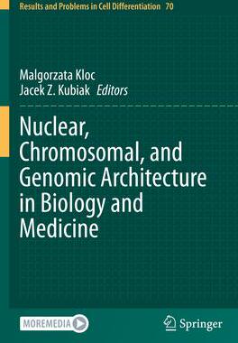 [预订]Nuclear, Chromosomal, and Genomic Architecture in Biology and Medicine 9783031065750