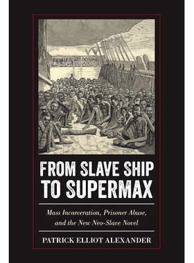 预订 From Slave Ship to Supermax: Mass Incarceration, Prisoner Abuse, and the New Neo-Slave Novel: 9781439914151