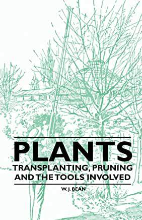 【微瑕清仓】Plants - Transplanting, Pruning and the Tools Involved