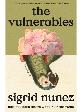 预订 The Vulnerables: A Novel 弱势群体: 9780593715529