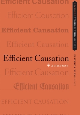 预订 Efficient Causation