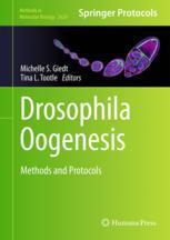 【预订】Drosophila Oogenesis 9781071629697