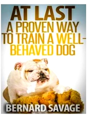 预订 At Last, A Proven Way To Train A Well-Behaved Dog: Training secrets revealed! How to easily train a well-behaved in