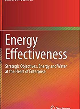 【预售】Energy Effectiveness
