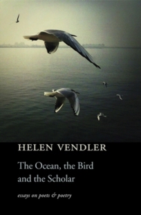 Ocean The 预订 Scholar Bird and the